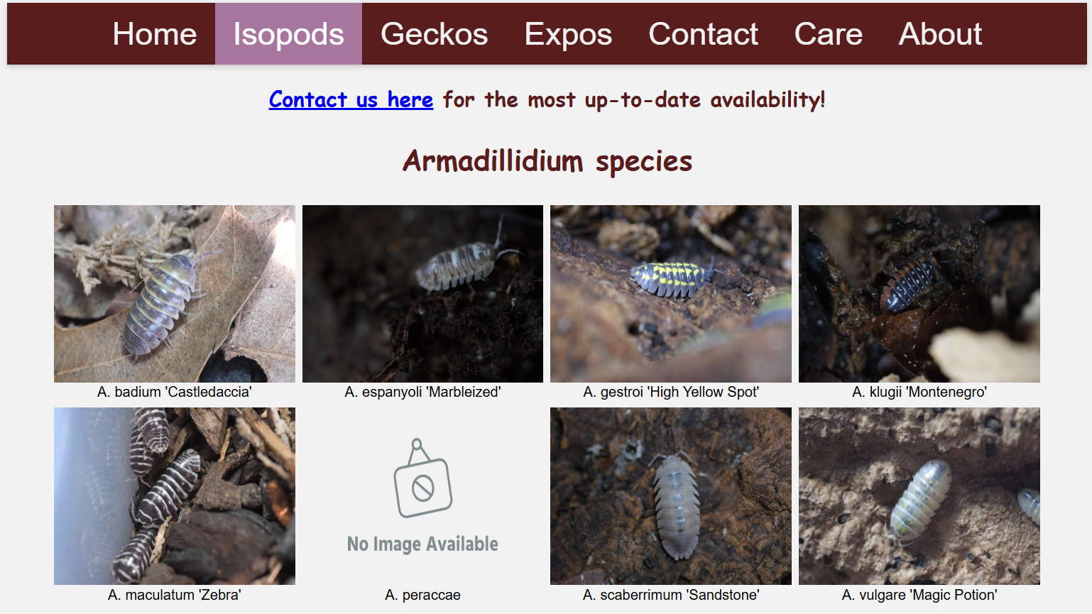 WonderIsopods Product Page Screenshot